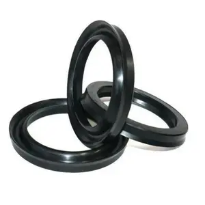 Oil Seals